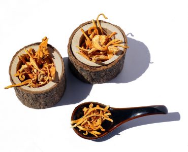 cordyceps-medical use and benefits