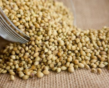 coriander-seeds health benefits