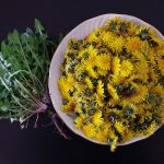 Devil’s Claw: A Natural Remedy for Pain and Inflammation