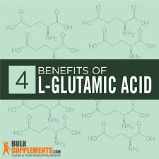 liver and skeletal muscles, two major stores of glutamine in the body