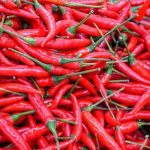 Cats claw, a natural herb can help with inflammation, arthritis, infections, and cancer