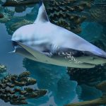Shark Cartilage: Benefits, Side Effects, and Safety