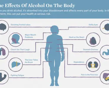 effects of acohol on the body and health