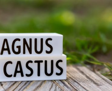 agnus castus featured image