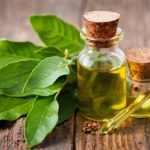 Basil: Ultimate Guide