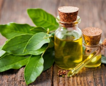 Bay leaves help manage various health issues such as arthritis, diabetes, cancer, digestive problems, respiratory ailments, and infections. In addition, you can apply bay leaf oil on the skin for muscle and joint pain and reduce inflammation at the wound site, photo,