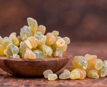 Boswellia serrata is a tree prevalent in India, the Middle East and North Africa. The gummy exudate or resin obtained by peeling away the bark is commonly known as frankincense or olibanum. Boswellia is used widely in Ayurveda for treating arthritis, ulcerative colitis, coughs, sores, wound healing, and asthma., photo,