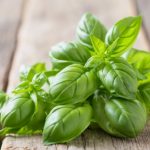 Arena Sativa: Ditch the Fatigue, Embrace Energy: Your Guide to Avena Sativa’s Power Boost!