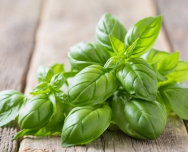 The eugenol in basil can block calcium channels, which may help to lower blood pressure. Its essential oils can help lower your cholesterol and triglycerides. Basil also contains magnesium, which can help improve your blood flow by allowing your muscles and blood vessels to relax. Reduced inflammation, photo