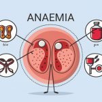 Zambroza: A Nutrient-Rich Superfood with Many Health Benefits