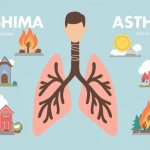 Understanding Atherosclerosis and Protecting Your Heart