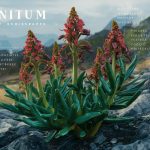 Gout: Symptoms and Causes