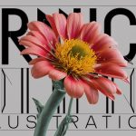 ACONITE: Uses, Side Effects, and Homeopathic Recipes