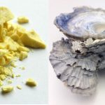 Hamamelis: A Comprehensive Guide to Uses and Benefits