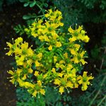 30 Small Things to Do to Be Happier in 30 Days