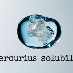 Lycopodium: Homeopathic Benefits, Uses, and Potential Side Effects