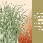 Discovering the Healing Benefits of Thuja: Nature’s Medicinal Powerhouse