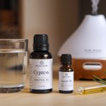 Understanding the Benefits and Uses of Meadowsweet (Filipendula ulmaria): A Comprehensive Guide for Health, Homeopathy, and Tradition