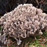 why is health and wellbeing important in the workplace?