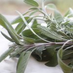 Rosemary: The Herb of Flavor and Wellness